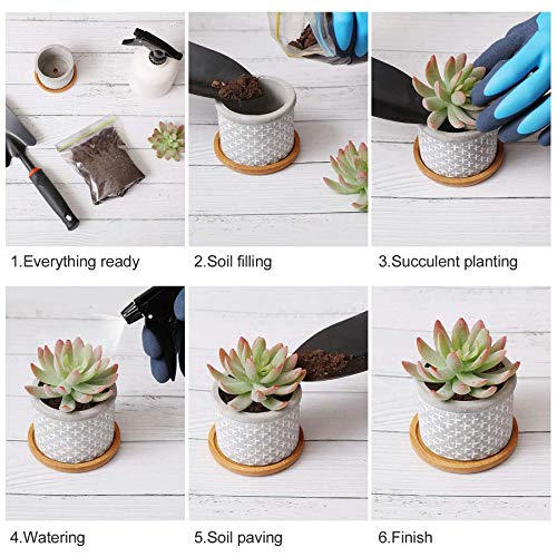 T4U 2.5 Inch Cement Succulent Pot with Bamboo Tray Set of 3, Small...