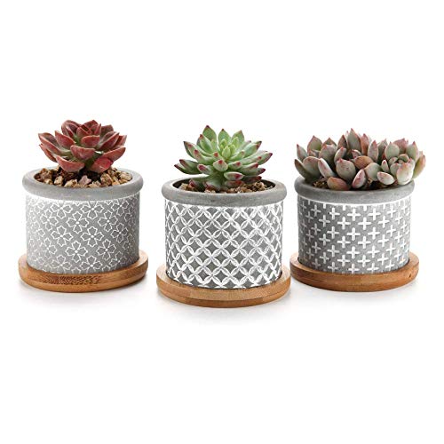 T4U 2.5 Inch Cement Succulent Pot with Bamboo Tray Set of 3, Small...