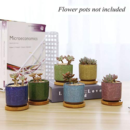 T4U 2 Inch Planter Pot Bamboo Saucer Round Set of 12, Succulent Po...