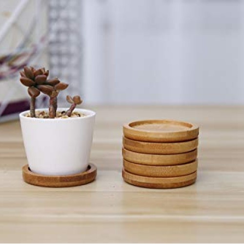 T4U 2 Inch Planter Pot Bamboo Saucer Round Set of 12, Succulent Po...