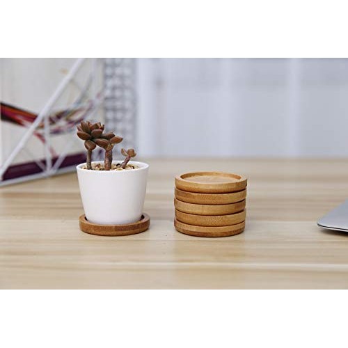 T4U 2 Inch Planter Pot Bamboo Saucer Round Set of 12, Succulent Po...