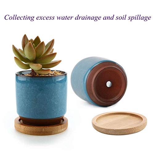 T4U 2 Inch Planter Pot Bamboo Saucer Round Set of 12, Succulent Po...