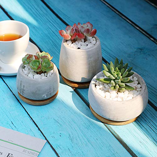 T4U 3 Inch - 4.25 Inch Cement Succulent Cactus Pot, Concrete Plant...