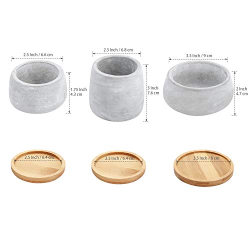 T4U 3 Inch - 4.25 Inch Cement Succulent Cactus Pot, Concrete Plant...