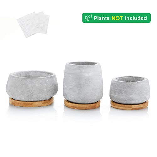 T4U 3 Inch - 4.25 Inch Cement Succulent Cactus Pot, Concrete Plant...