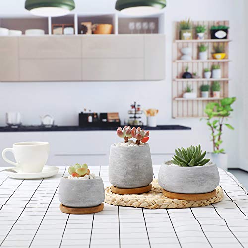 T4U 3 Inch - 4.25 Inch Cement Succulent Cactus Pot, Concrete Plant...