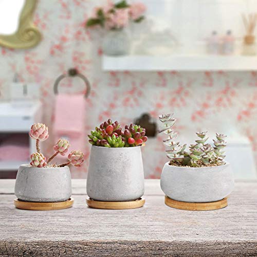 T4U 3 Inch - 4.25 Inch Cement Succulent Cactus Pot, Concrete Plant...