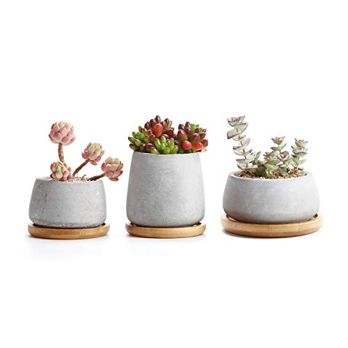 T4U 3 Inch - 4.25 Inch Cement Succulent Cactus Pot, Concrete Plant...