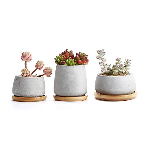 T4U 3 Inch - 4.25 Inch Cement Succulent Cactus Pot, Concrete Plant...