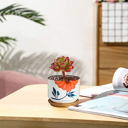 T4U 3 Inch Succulent Pots Japanese Style Collection with Bamboo Sa...