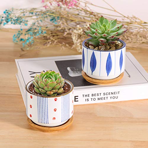 T4U 3 Inch Succulent Pots Japanese Style Collection with Bamboo Sa...