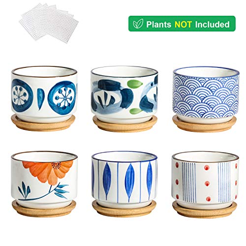 T4U 3 Inch Succulent Pots Japanese Style Collection with Bamboo Sa...