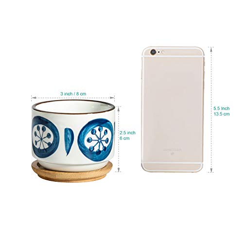 T4U 3 Inch Succulent Pots Japanese Style Collection with Bamboo Sa...