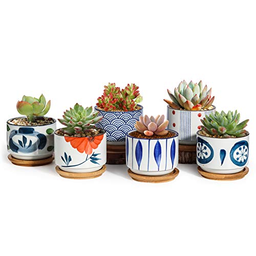 T4U 3 Inch Succulent Pots Japanese Style Collection with Bamboo Sa...