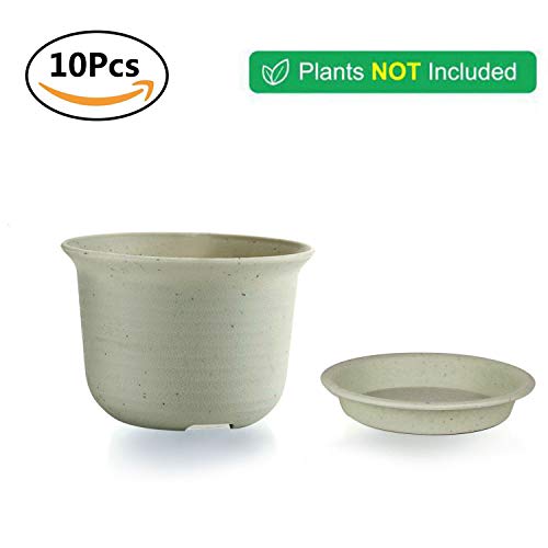 T4U 4.25 Inch Plastic Planter Pots with Saucer Grey Set of 10, See...