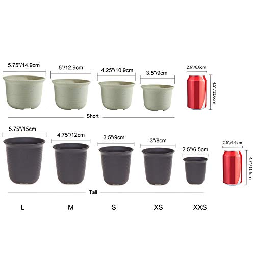 T4U 4.75 Inch Plastic Planter Pots with Saucer Grey Set of 10, See...
