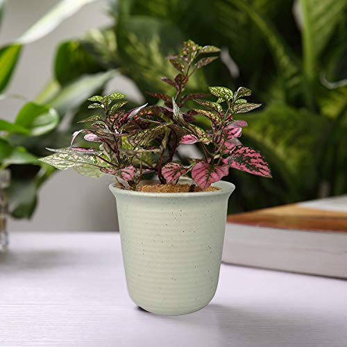 T4U 4.75 Inch Plastic Planter Pots with Saucer Grey Set of 10, See...