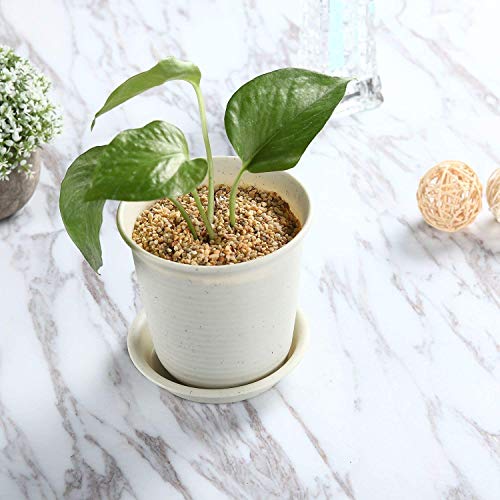 T4U 5.75 Inch Plastic Planter Pots with Saucer Grey Set of 10, See...