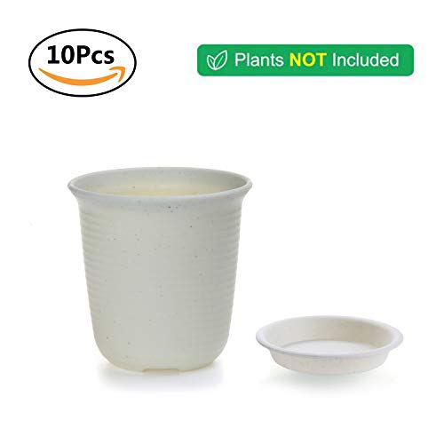 T4U 5.75 Inch Plastic Planter Pots with Saucer Grey Set of 10, See...