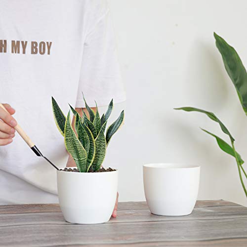 T4U 5 Inch Self Watering Planters Plastic Plant Pot, Modern Decora...