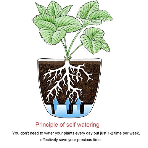 T4U 5 Inch Self Watering Planters Plastic Plant Pot, Modern Decora...