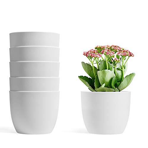T4U 5 Inch Self Watering Planters Plastic Plant Pot, Modern Decora...
