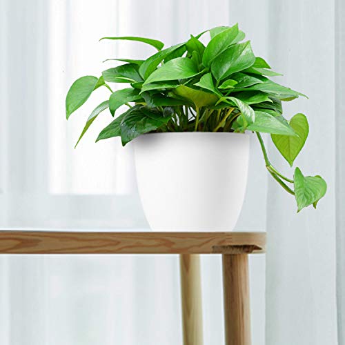 T4U 6 Inch Self Watering Planters Plastic Plant Pot, Modern Decora...