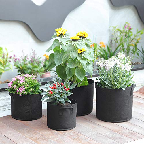 T4U Fabric Plant Grow Bags with Handles 3 Gallon Pack of 5, Heavy ...