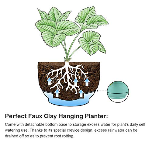 T4U Plastic Hanging Planter Self Watering Basket with Detachable B...
