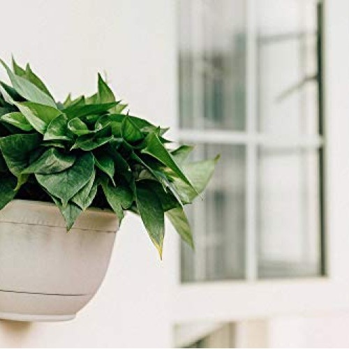 T4U Resin Wall Planter Marble Gray Set of 4, Wall Mounted Garden P...