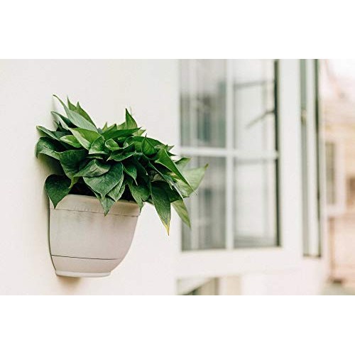 T4U Resin Wall Planter Marble Gray Set of 4, Wall Mounted Garden P...