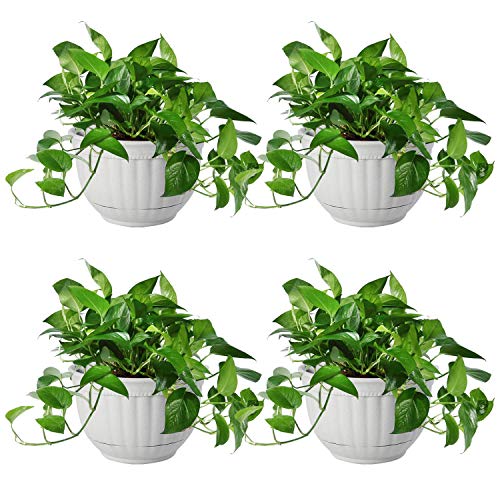 T4U Resin Wall Planter Marble Gray Set of 4, Wall Mounted Garden P...