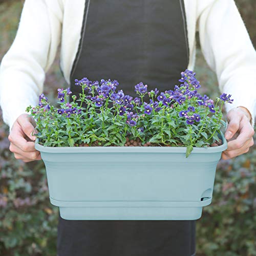 T4U Self Watering Planters Plastic Rectangular Plant Pot, Modern D...