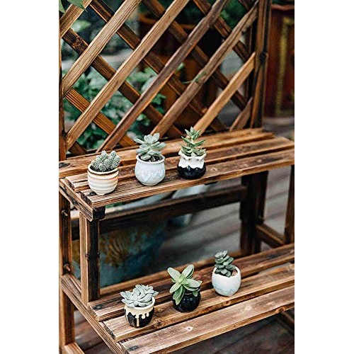 T4U Small Ceramic Succulent Pots with Drainage Set of 6, Mini Pots...