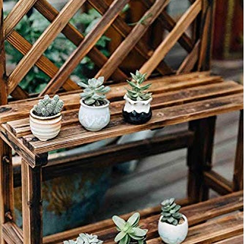 T4U Small Ceramic Succulent Pots with Drainage Set of 6, Mini Pots...