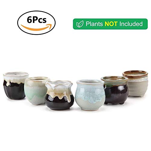 T4U Small Ceramic Succulent Pots with Drainage Set of 6, Mini Pots...