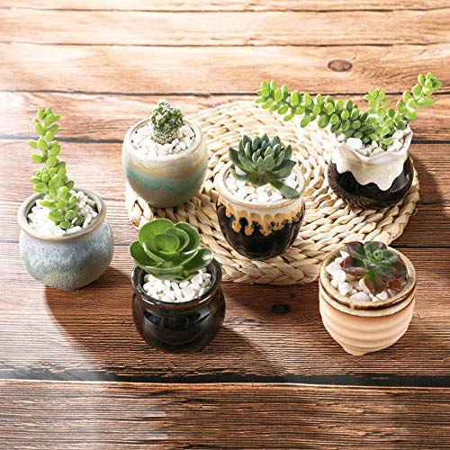 T4U Small Ceramic Succulent Pots with Drainage Set of 6, Mini Pots...