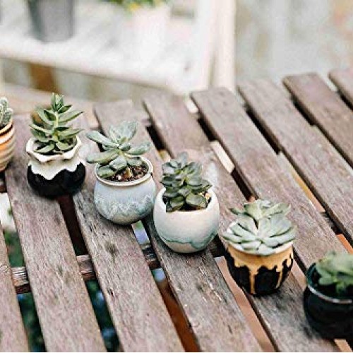 T4U Small Ceramic Succulent Pots with Drainage Set of 6, Mini Pots...