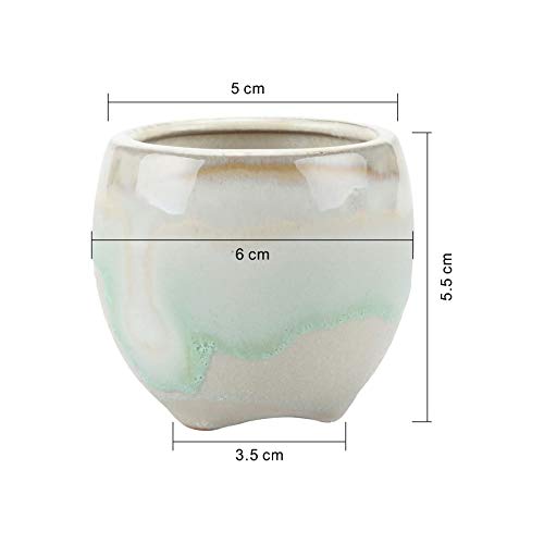 T4U Small Ceramic Succulent Pots with Drainage Set of 6, Mini Pots...