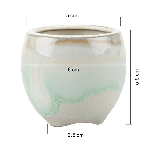T4U Small Ceramic Succulent Pots with Drainage Set of 6, Mini Pots...