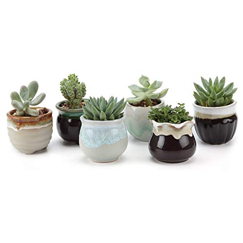 T4U Small Ceramic Succulent Pots with Drainage Set of 6, Mini Pots...