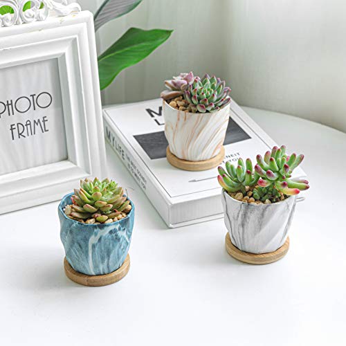 T4U Succulent Pot Ceramic 2.5 Inch Octagon Marbling Colorful Cactu...