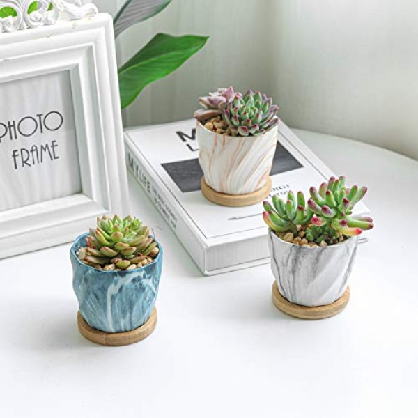 T4U Succulent Pot Ceramic 2.5 Inch Octagon Marbling Colorful Cactu...