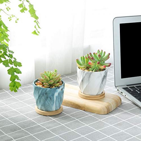 T4U Succulent Pot Ceramic 2.5 Inch Octagon Marbling Colorful Cactu...