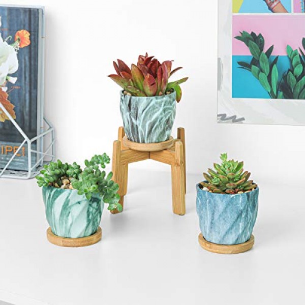 T4U Succulent Pot Ceramic 2.5 Inch Octagon Marbling Colorful Cactu...