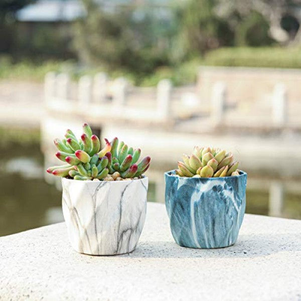 T4U Succulent Pot Ceramic 2.5 Inch Octagon Marbling Colorful Cactu...