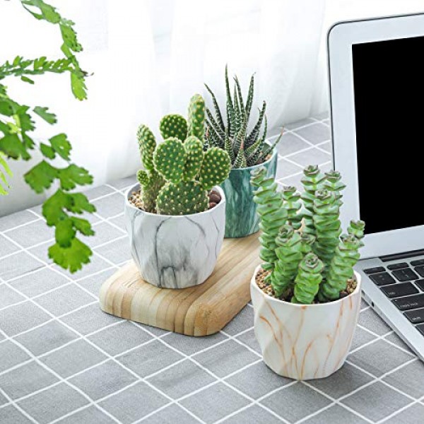 T4U Succulent Pot Ceramic 2.5 Inch Octagon Marbling Colorful Cactu...