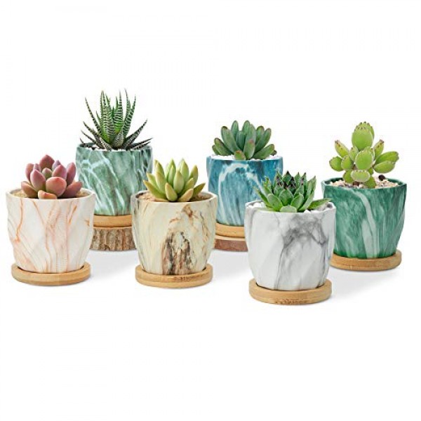 T4U Succulent Pot Ceramic 2.5 Inch Octagon Marbling Colorful Cactu...