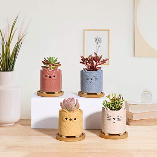 T4U Succulent Pots Ceramic Cartoon 2.5 Inch with Saucer Set of 6, ...