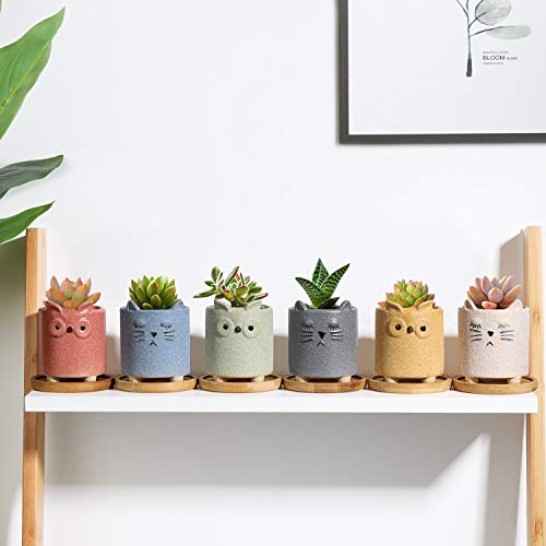 T4U Succulent Pots Ceramic Cartoon 2.5 Inch with Saucer Set of 6, ...